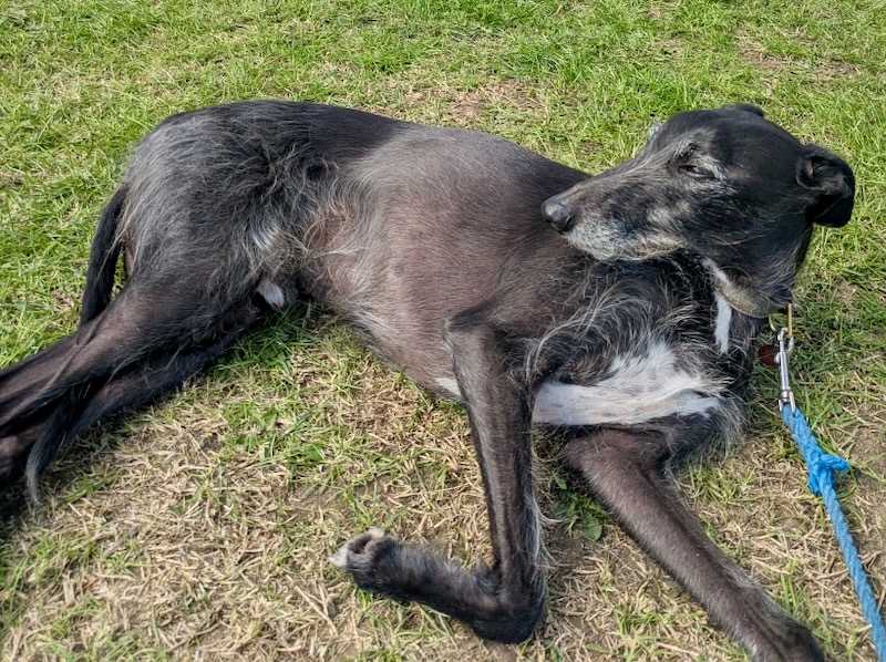 Flash enjoying his stay